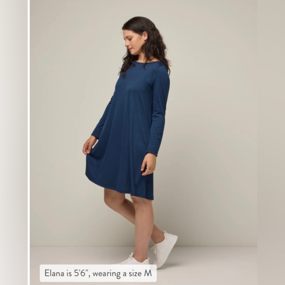 Wool& “100 day dress” Rowena swing dress GUC